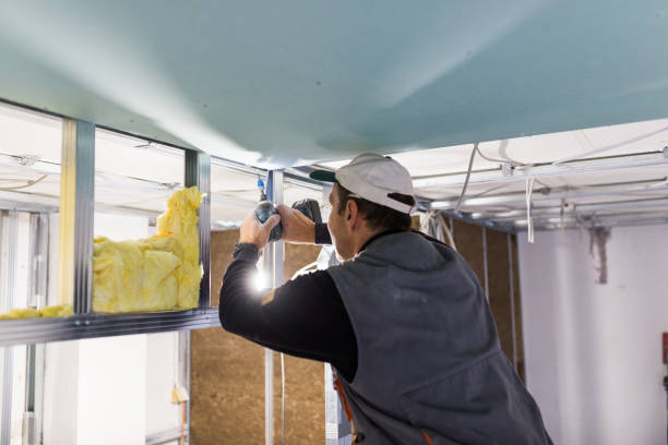Best Blown-in Insulation in Monrovia, IN