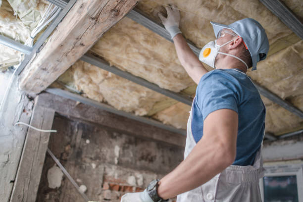 Best Cellulose Insulation in Monrovia, IN